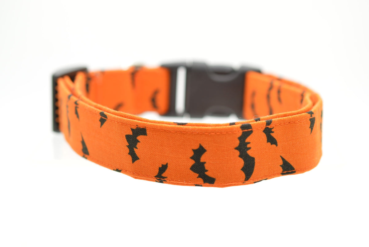 Bats Collar Dog Collar World