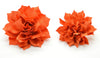 Orange Fluffy Flower