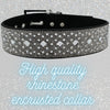 Silver Rhinestone Dog Collar