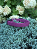 Purple Plaid Limited Edition Collar