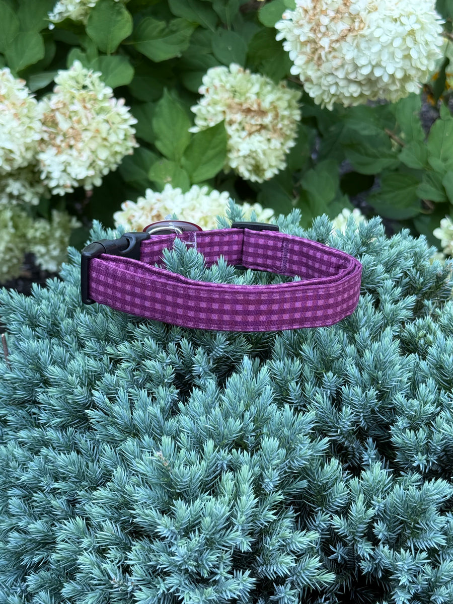 Purple Plaid Limited Edition Collar Dog Collar World