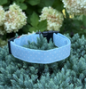 Light Blue Polka Dot Limited Edition Collar