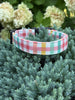 Coral and Teal Plaid Limited Edition Collar