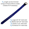 Royal Blue Rhinestone Dog Collar