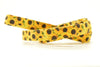 Sunflowers Leash