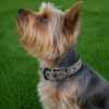 Light Pink Rhinestone Dog Collar