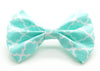 Aqua Quatrefoil Bow Tie