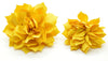 Golden Yellow Fluffy Flower