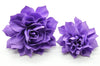 Purple Fluffy Flower