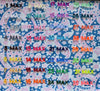 Pink and Blue Paisley Collar