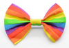 Bright Rainbow Bow Tie