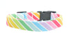 Rainbow Stripe Collar