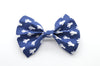 Navy Cactus Bow Tie